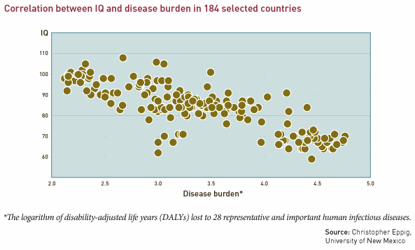 4 iq disease burden